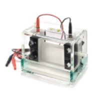 Electrophoresis Systems & Products