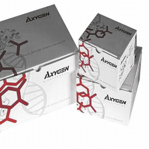 Corning Axygen® MDNAHR DNA Marker Kit For Gel Electrophoresis, High