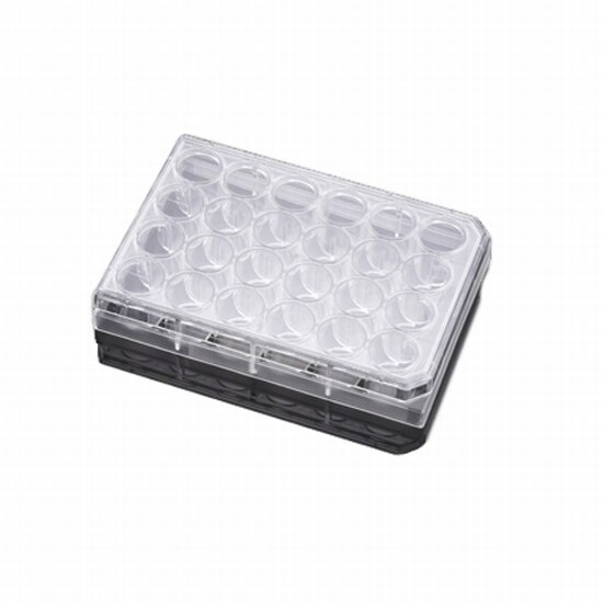 Falcon® (a Corning Brand) 353097 | 24-Well Translucent Cell