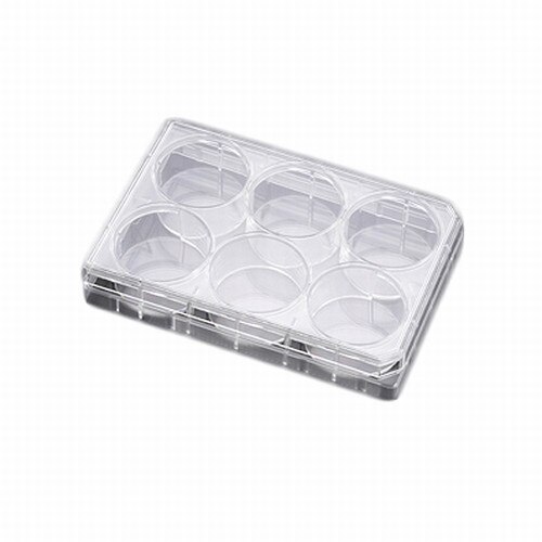 Falcon® (a Corning Brand) 353046 6Well Treated Multiwell Tissue Culture