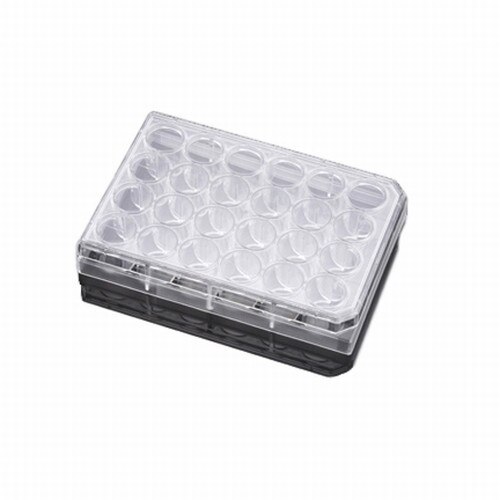 Falcon® (a Corning Brand) 353226 24Well Treated Multiwell Tissue Culture