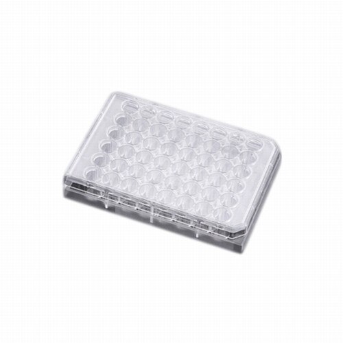 Falcon® (a Corning Brand) 353230 48Well Treated Multiwell Tissue Culture