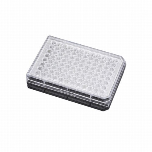 Falcon® (a Corning Brand) 353296 96Well Treated Multiwell Tissue Culture