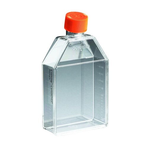 Corning® 3290 Sterile 75cm2 Rectangular Cell Culture Flask with Canted Neck