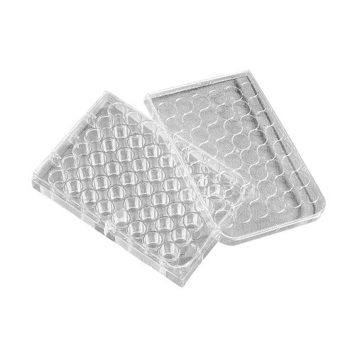 Corning® 3338 48Well x 1.6mL Cell Culture MultiWell Plate with Lid, Cel