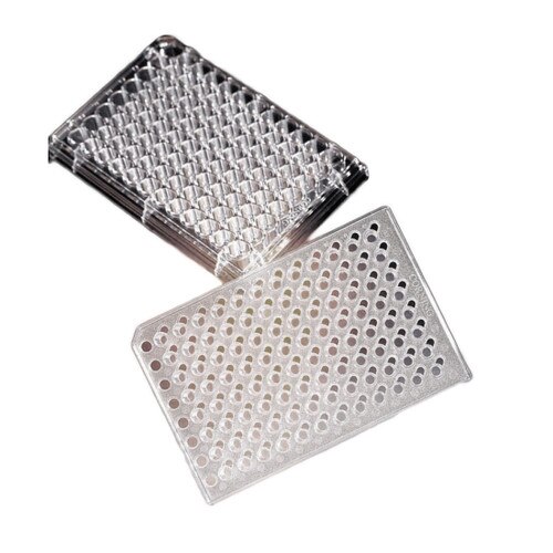 Corning® 3387 HTS Transwell® 96 Permeable Support Culture Plate System with