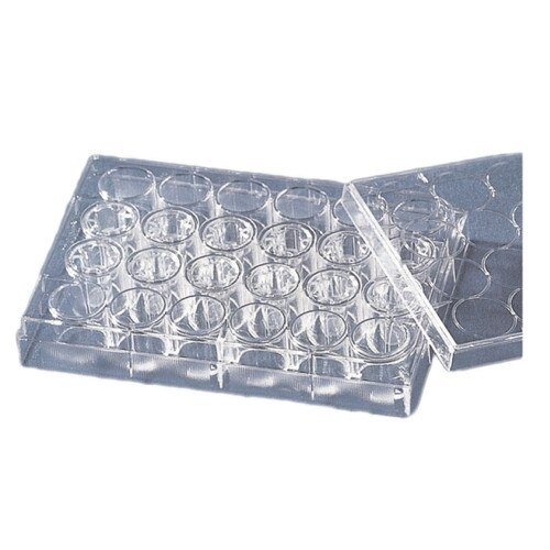 Corning® 3987 24Well Flat Bottom 3.4mL Multiwell Plate with Lid, Clear, 1.