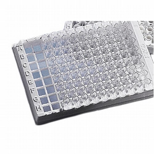 Corning® 3989 96Well Polystyrene Osteo Assay Surface Microplate Holder wit