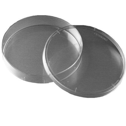 Corning® 430599 Sterile 150 x 25mm Tissue Culture Dish, TCTreated Polystyr