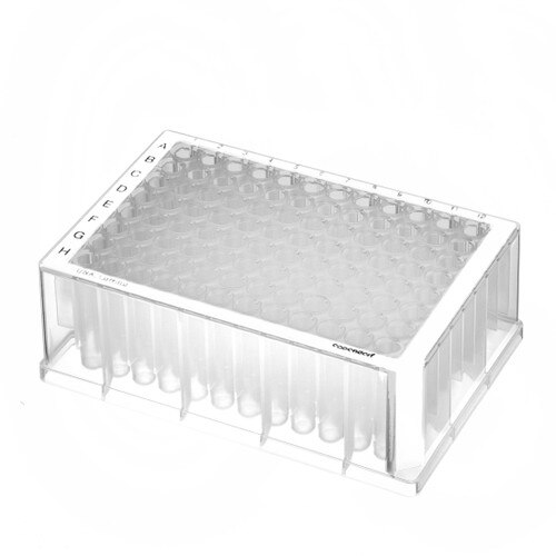 Eppendorf 951033308 Protein LoBind Deepwell 96Well x 1000µL Assay