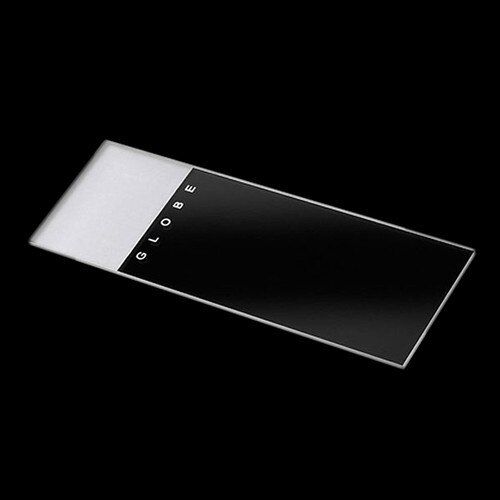 Globe Scientific 1324 Classic Frosted Microscope Slides with Ground Edge an