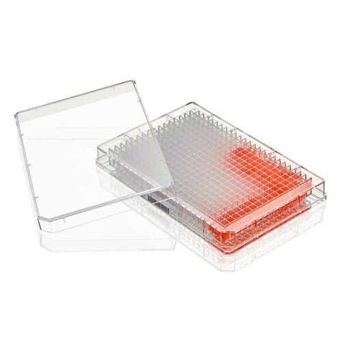 Library 384 Well GSI-TC-PLT-384, Multiple Well Plate, 384Well, TC Treated