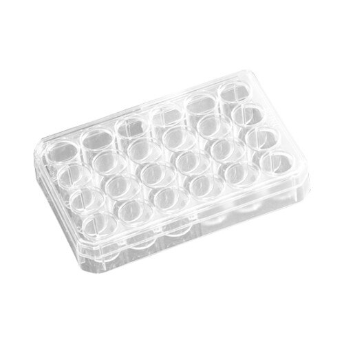 Nunc™ 142485 Nunclon 24-Well x 1mL MultiDish Cell Culture Dish With Round W