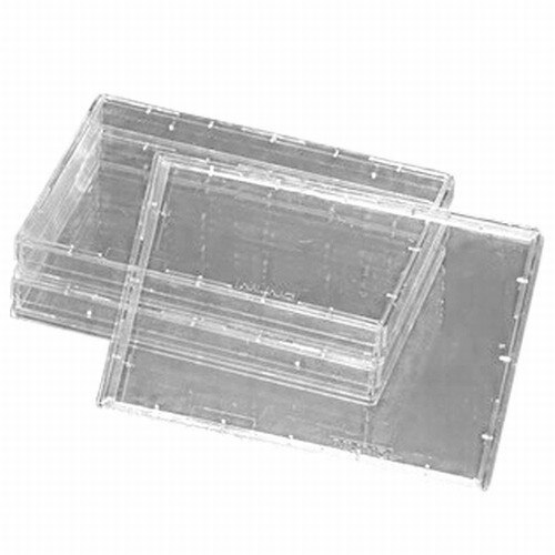Nunc™ 165218 OmniTray Rectangular Cell Culture Dishes With Lid, Cell Cultur