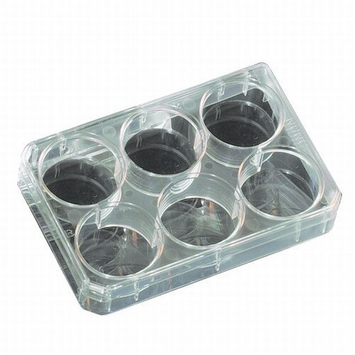 Nunc™ 174901 UpCell 6Well x 3mL MultiDish Cell Culture Dish With Lid And A