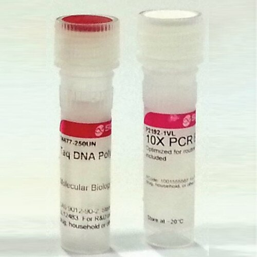 Sigma D18065KU Taq DNA Polymerase from Thermus Aquaticus with 10X PCR Reac