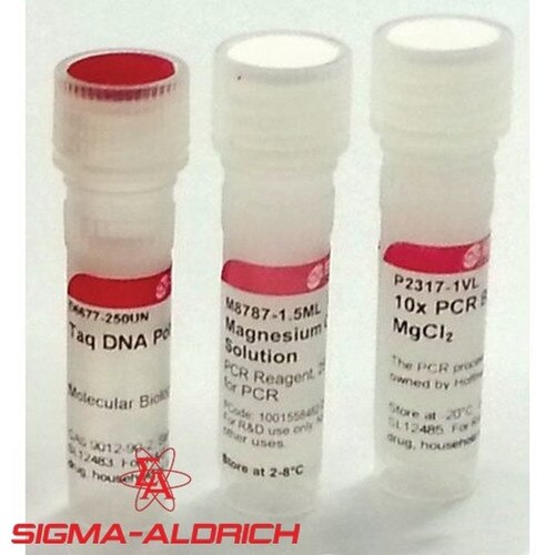 Sigma D4545250UN Taq DNA Polymerase from Thermus Aquaticus with 10X PCR Re
