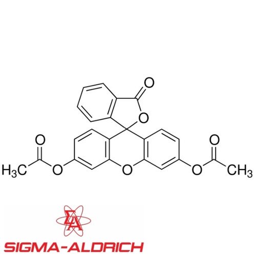 Sigma F73785G Fluorescein Diacetate Stain, 5g Vial