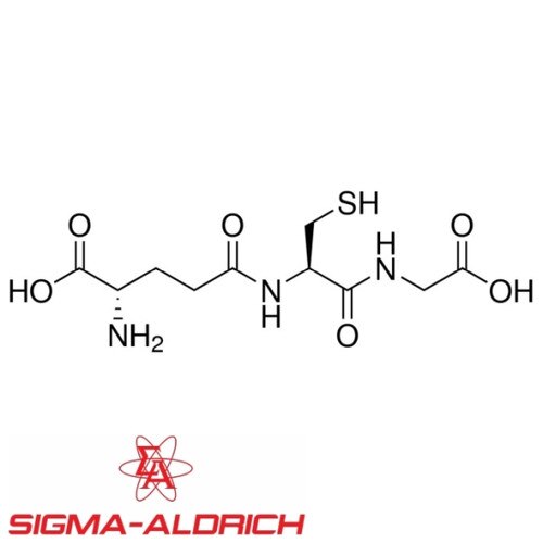 glutathione sigma aldrich Sigma-Aldrich ʟ-Glutathione reduced, CAS 70-18-8, BioXtra, ≥98.0% 1 g main image 0