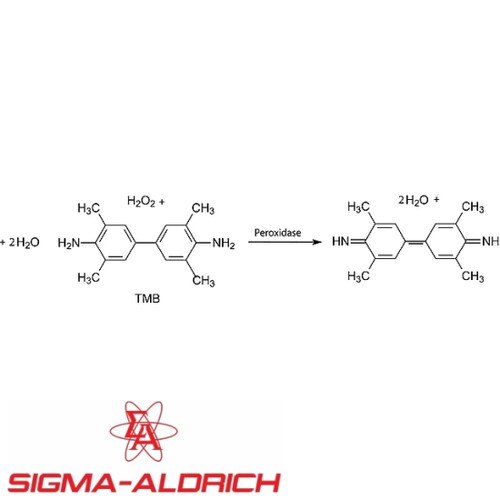 Sigma T0440-100ML 3,3′,5,5′-Tetramethylbenzidine (TMB) Liquid Substrate Sys