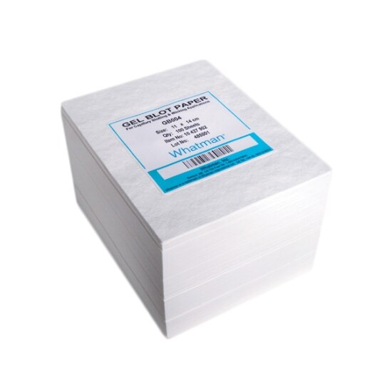 適当な価格 Cytiva's Whatman™ 10427812 Grade GB003 Standard Blotting Pap その他