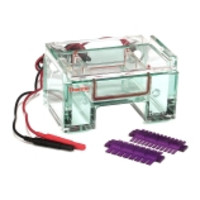 Thermo Scientific Owl® B1A EasyCast™ Mini Gel Horizontal Electrophoresis System Parts & Accessories
